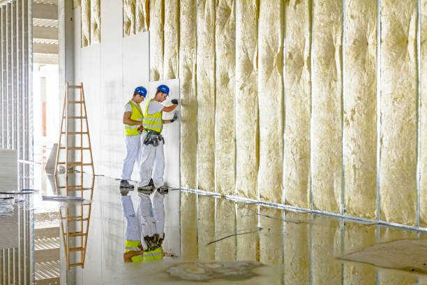 Trusted Franklin, TN Insulation Experts